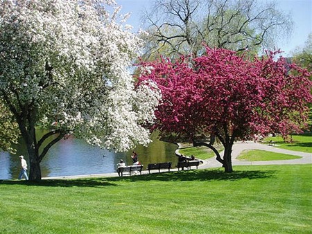 Spring Landscape in New England