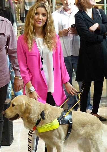 Service dog