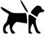 icon of guide dog icon of guide dog