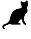 cat icon